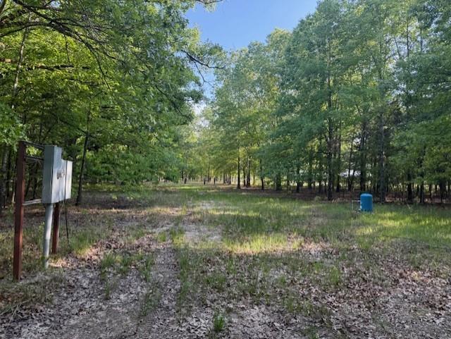 1356 County Road 1470 Property Photo 11
