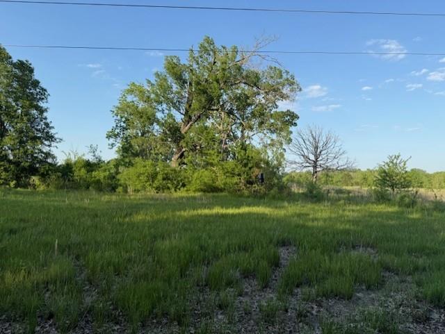 1356 County Road 1470 Property Photo 12