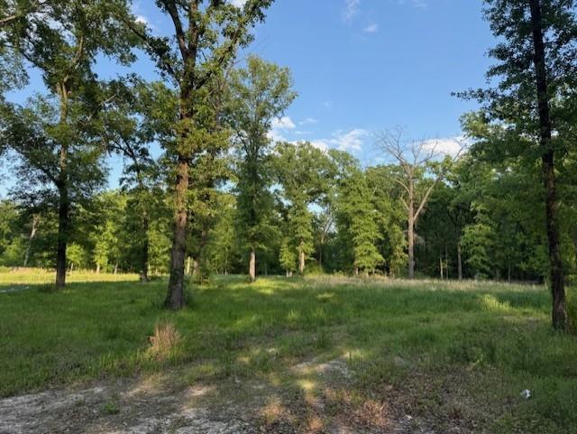 1356 County Road 1470 Property Photo 13