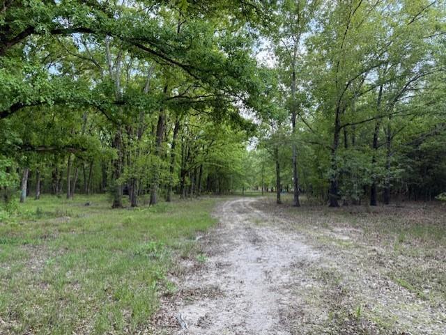 1356 County Road 1470 Property Photo 14