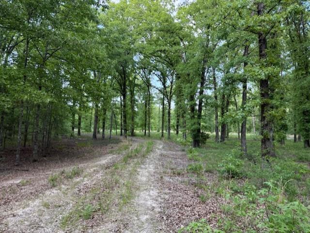 1356 County Road 1470 Property Photo 15