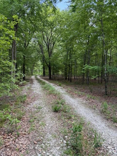 1356 County Road 1470 Property Photo 17