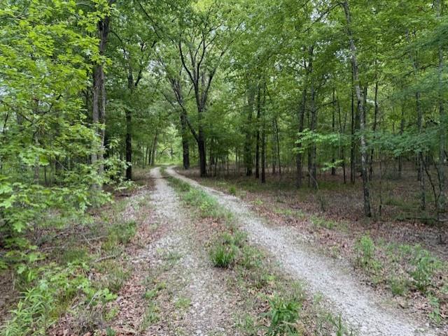 1356 County Road 1470 Property Photo 18