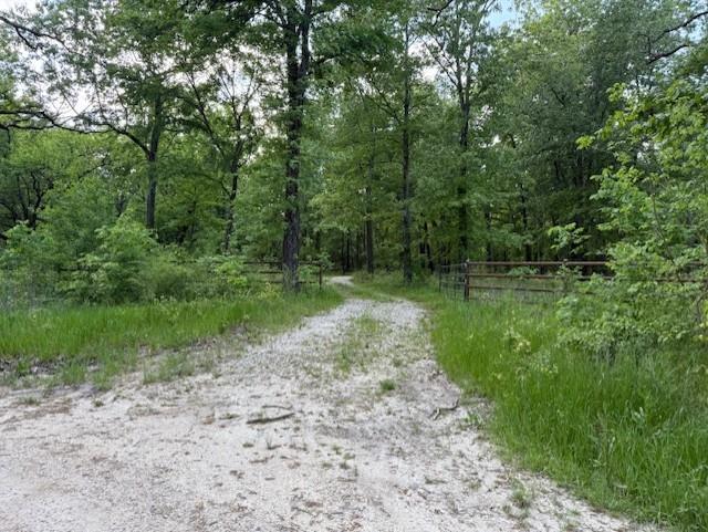 1356 County Road 1470 Property Photo 19