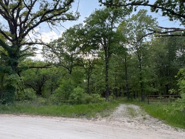 1356 County Road 1470 Property Photo 20