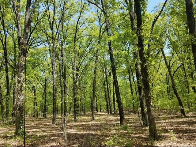 1356 County Road 1470 Property Photo 21