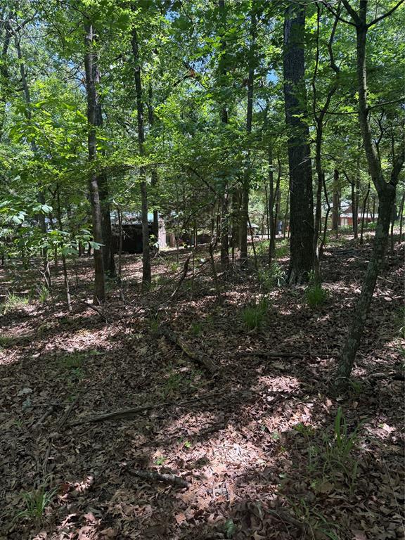 63r King Frederick Ct Property Photo 8