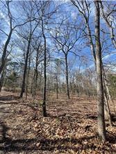 63r King Frederick Ct Property Photo 10