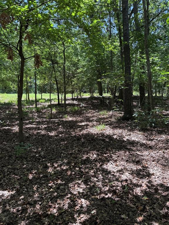 63r King Frederick Ct Property Photo 11