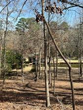 63r King Frederick Ct Property Photo 12