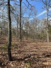 63r King Frederick Ct Property Photo 13