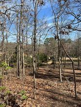 63r King Frederick Ct Property Photo 14