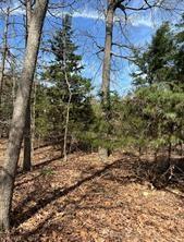 63r King Frederick Ct Property Photo 16