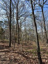 63r King Frederick Ct Property Photo 18