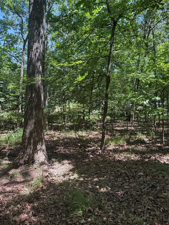 63r King Frederick Ct Property Photo 19