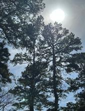 63r King Frederick Ct Property Photo 20