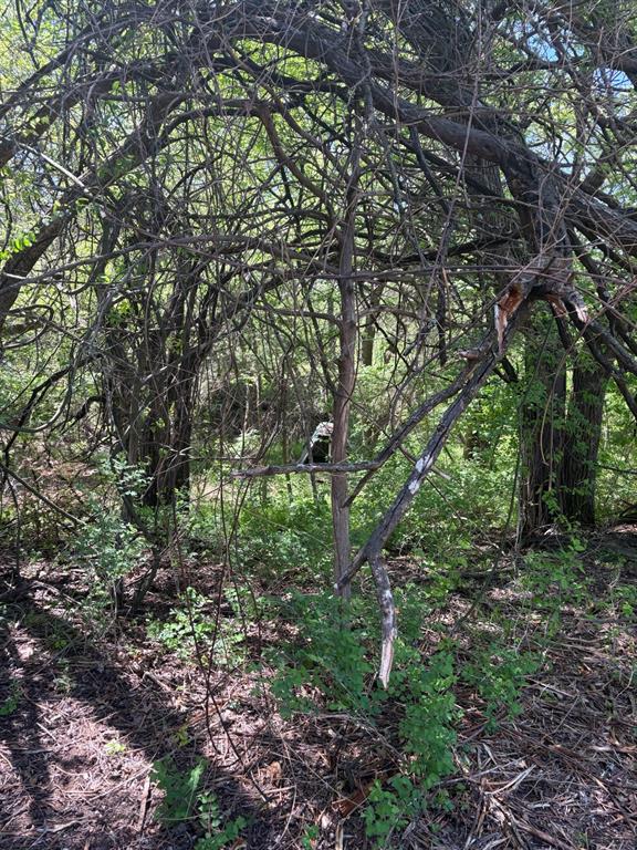 0000 Rockport Road Property Photo 13