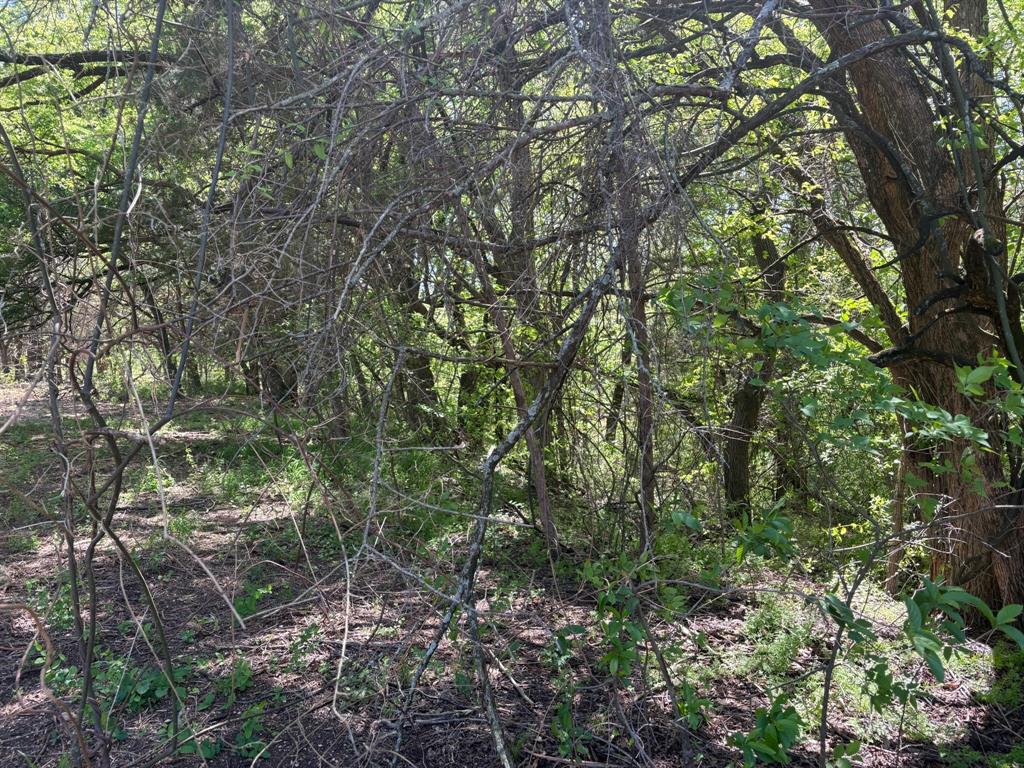 0000 Rockport Road Property Photo 15