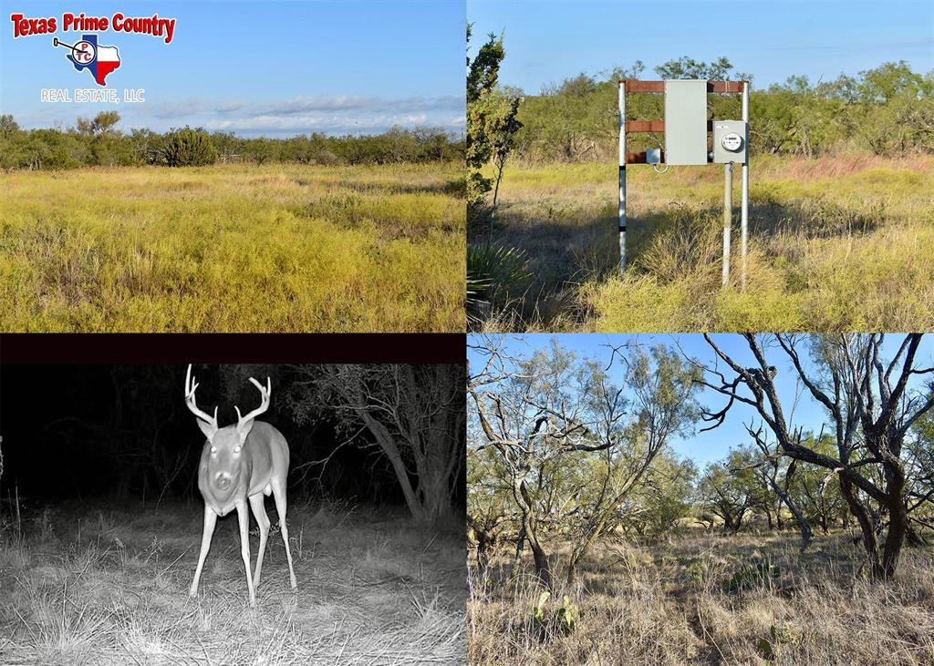 2055 472 Property Photo 1