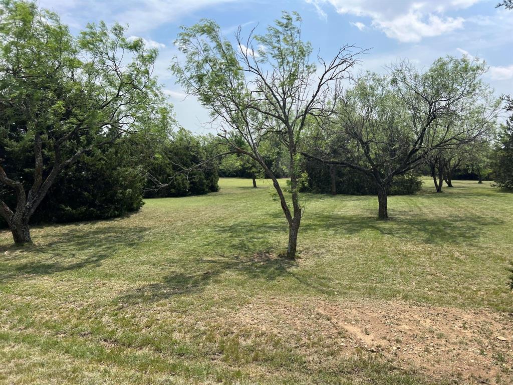 1402 Armadillo Drive Property Photo 2