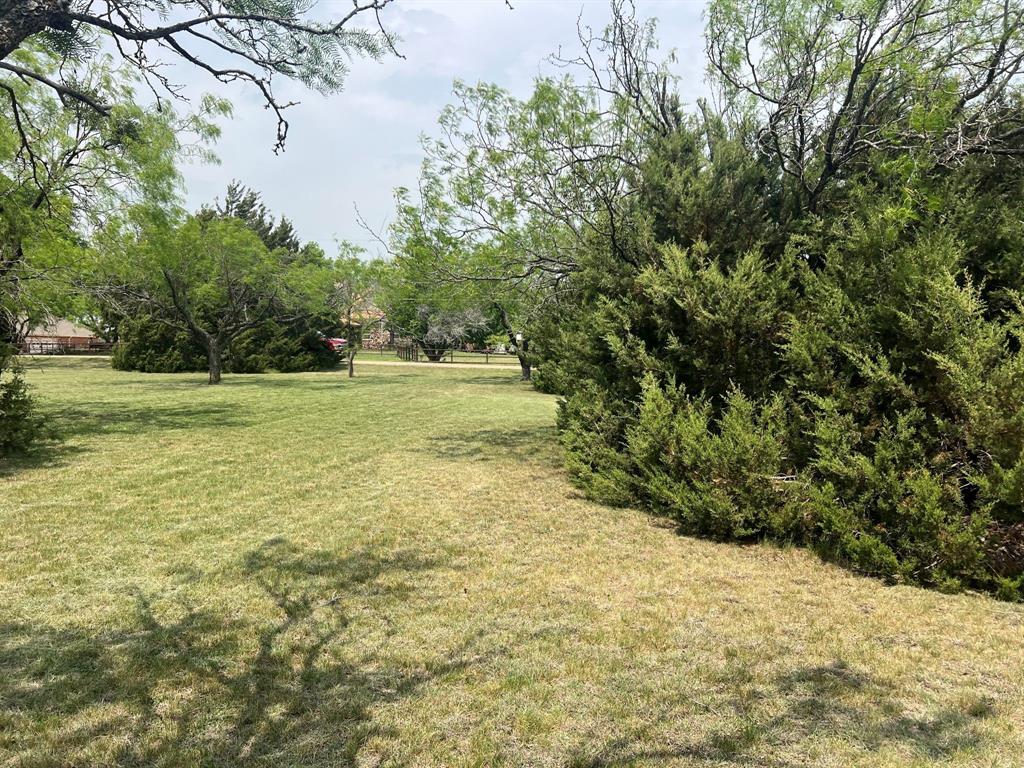 1402 Armadillo Drive Property Photo 4