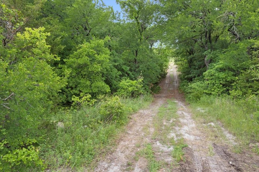 2337 Old Josephine Road Property Photo 23