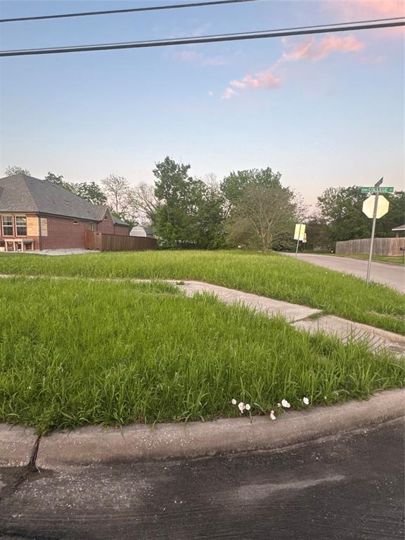 Tbd College Street Property Photo 1