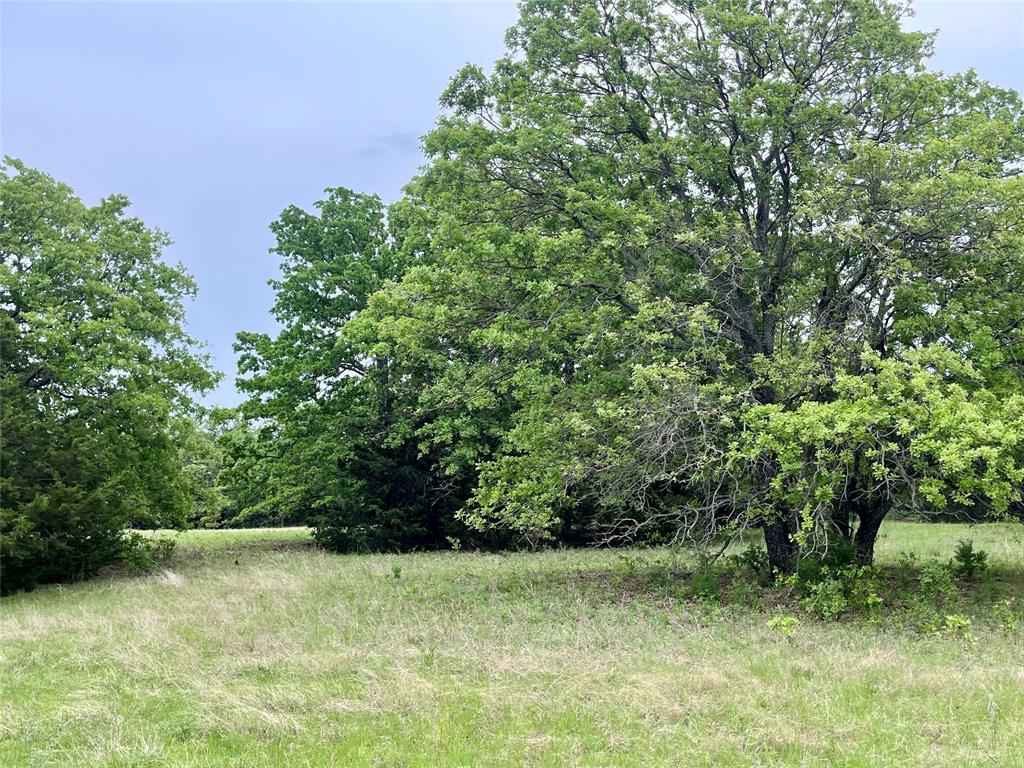 Lot 1 Pleasant Hill Road Property Photo