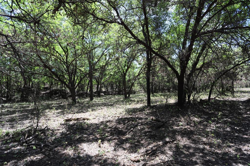 1485 County Road 224 Property Photo 29