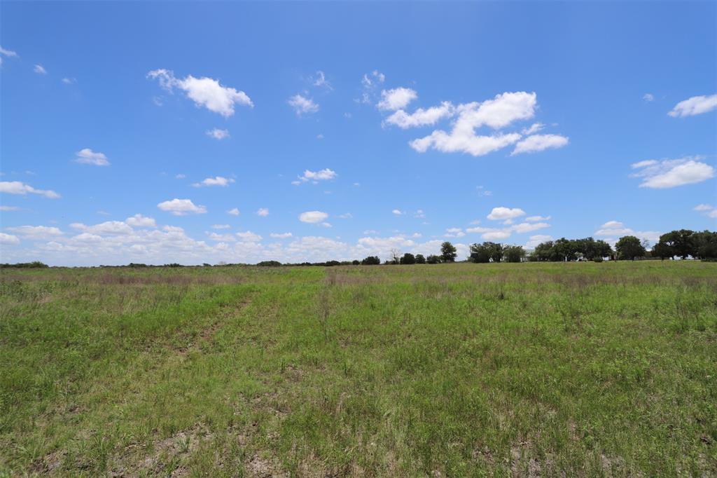 1485 County Road 224 Property Photo 31