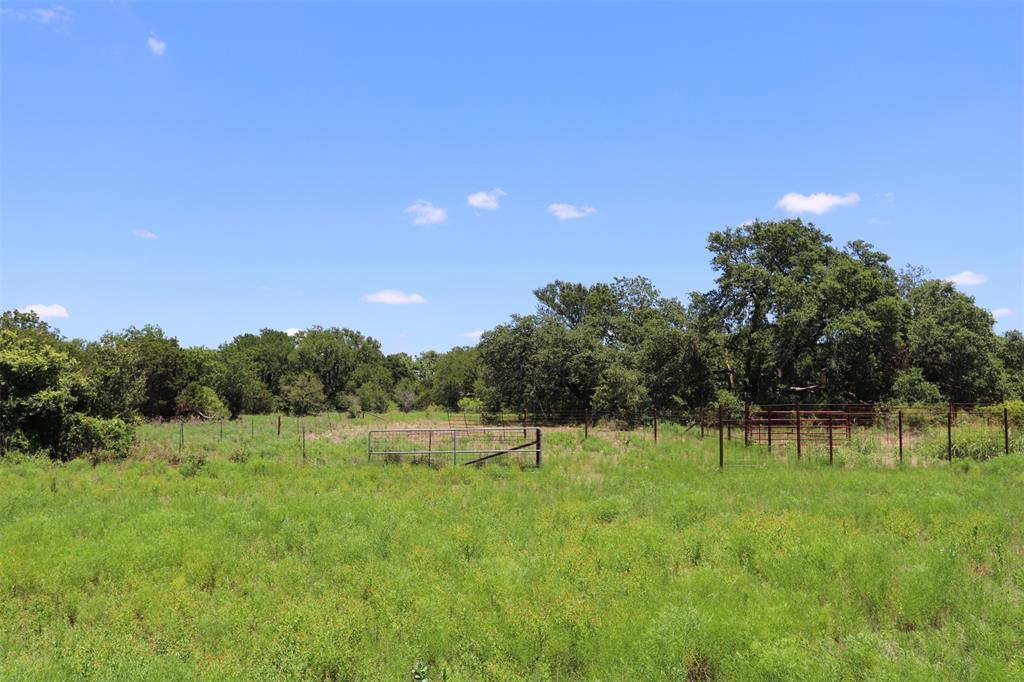 1485 County Road 224 Property Photo 37
