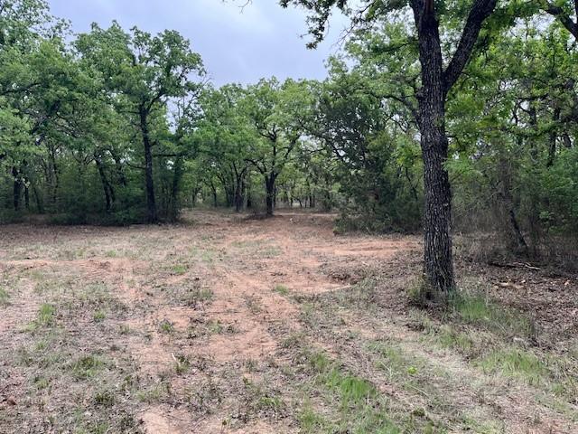 35 Ac Two Bush Property Photo