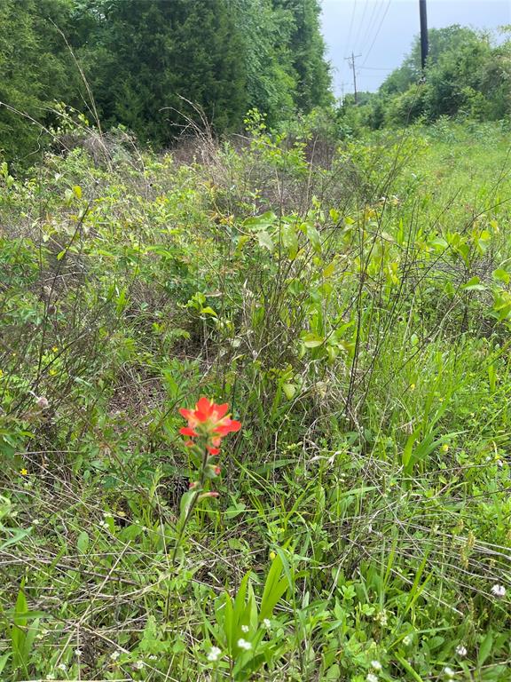Tbd Vz County Road 2908 Property Photo