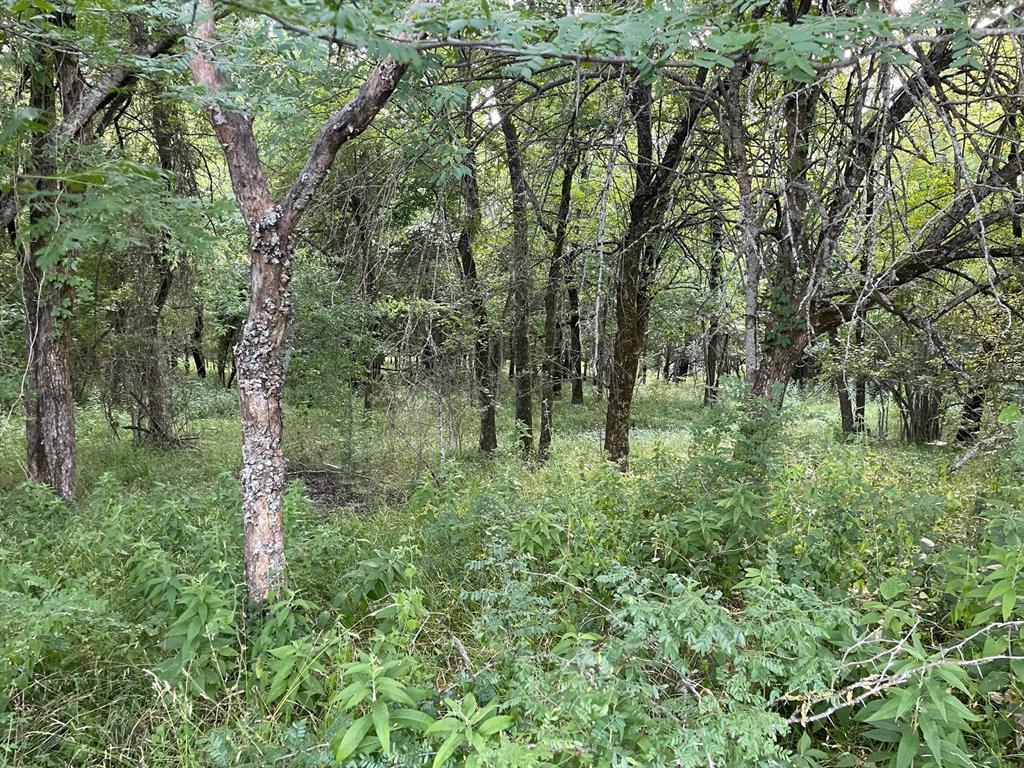 4005 County Rd 2825 Property Photo 7