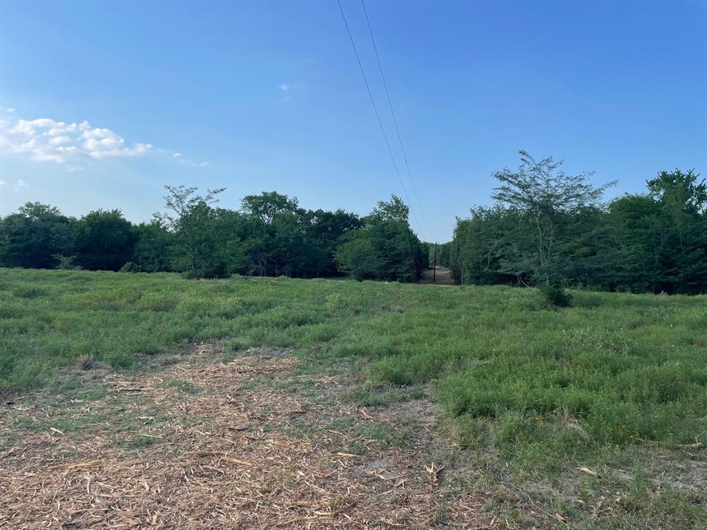 4005 County Rd 2825 Property Photo 9