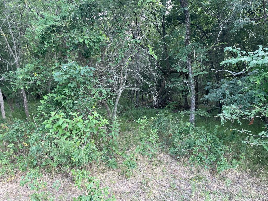 4005 County Rd 2825 Property Photo 11