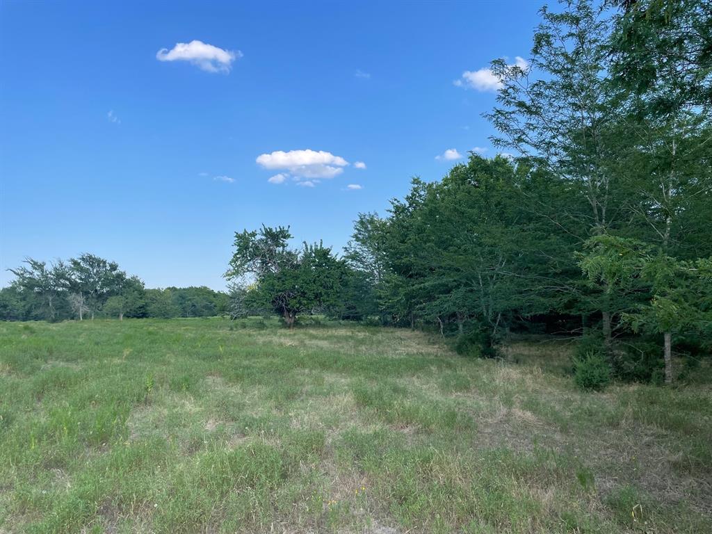 4005 County Rd 2825 Property Photo 13