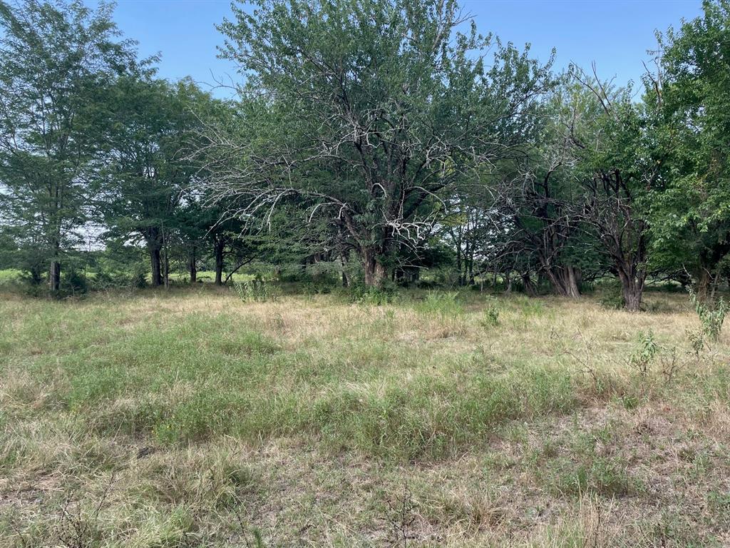4005 County Rd 2825 Property Photo 15