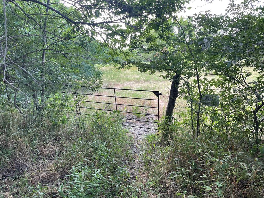 4005 County Rd 2825 Property Photo 16
