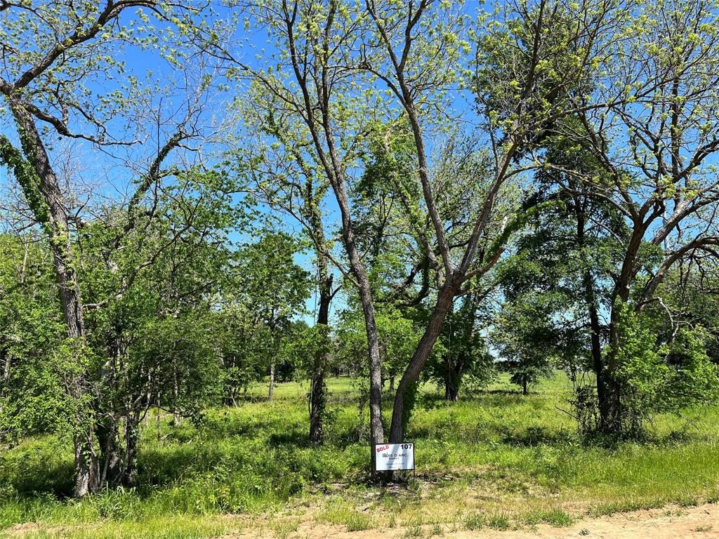 Dodd City Real Estate Listings Main Image