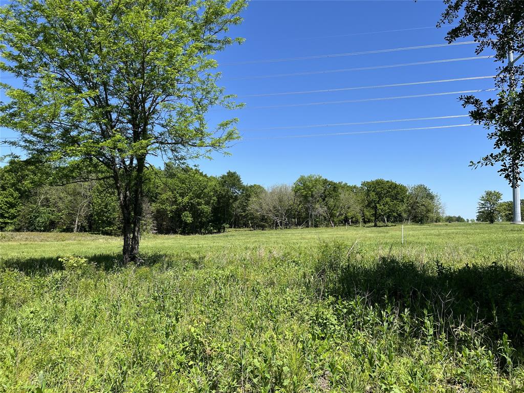 345 Wildflower Way Property Photo 2