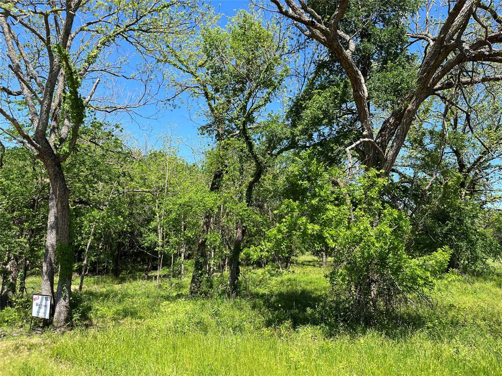 345 Wildflower Way Property Photo 12