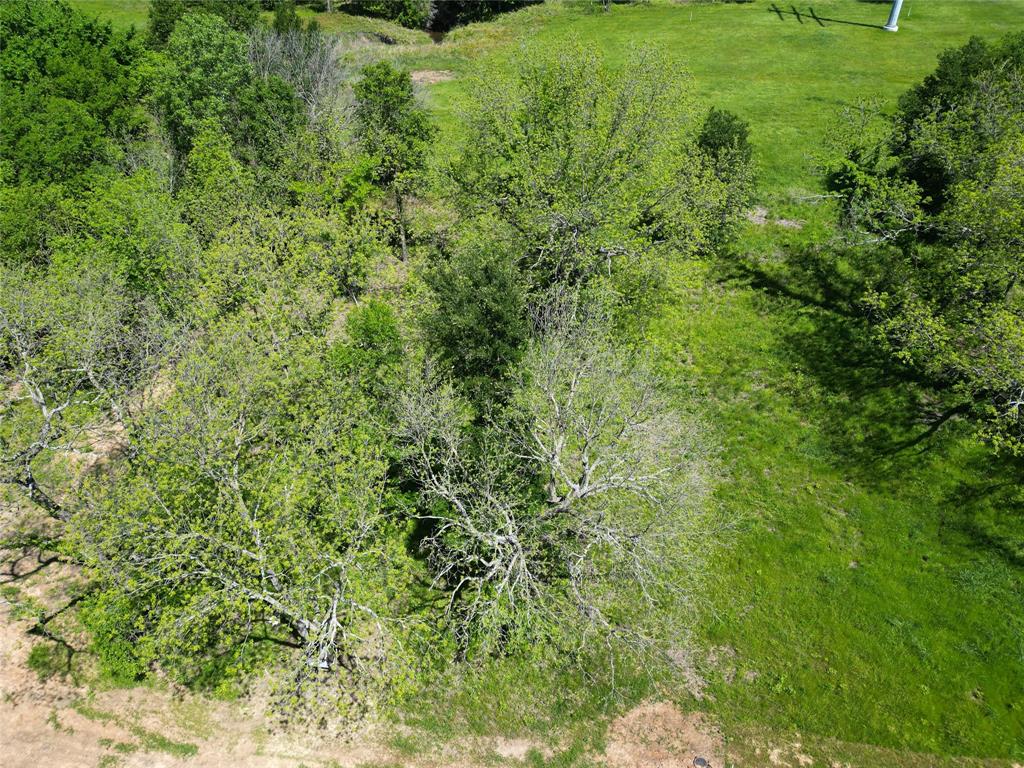 345 Wildflower Way Property Photo 23