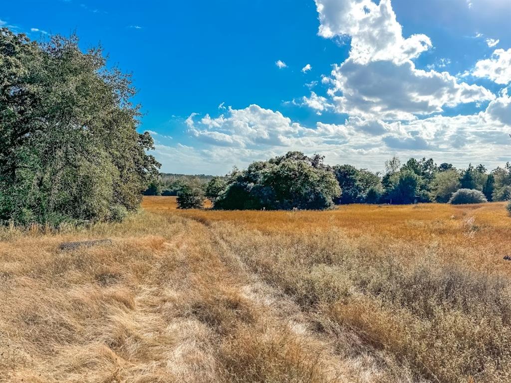 0000 County Road 237 Property Photo