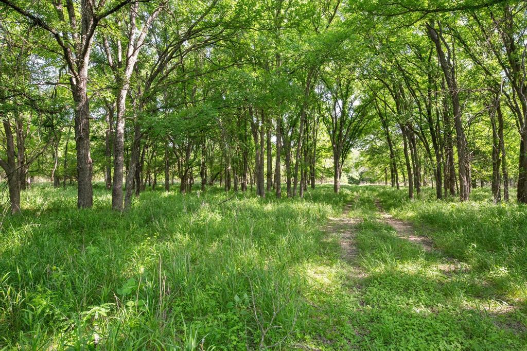 345 County Road 2545 Property Photo