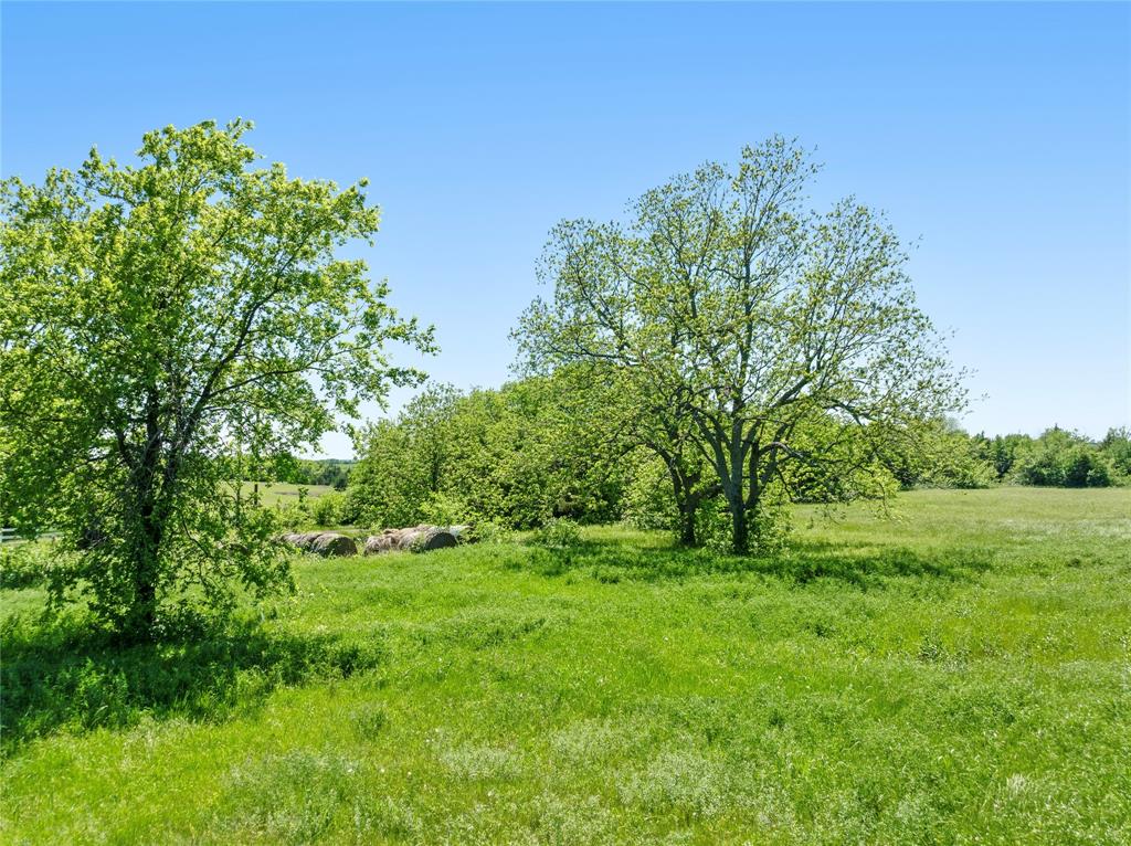000 County Road 26310 Property Photo 4