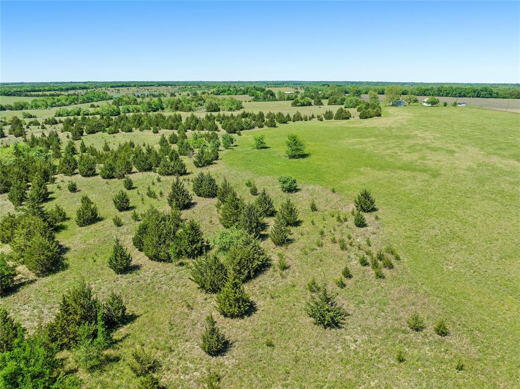 000 County Road 26310 Property Photo 11