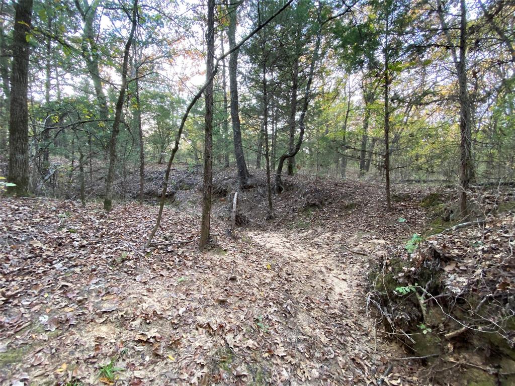 0 Private Road 5204 Property Photo 11