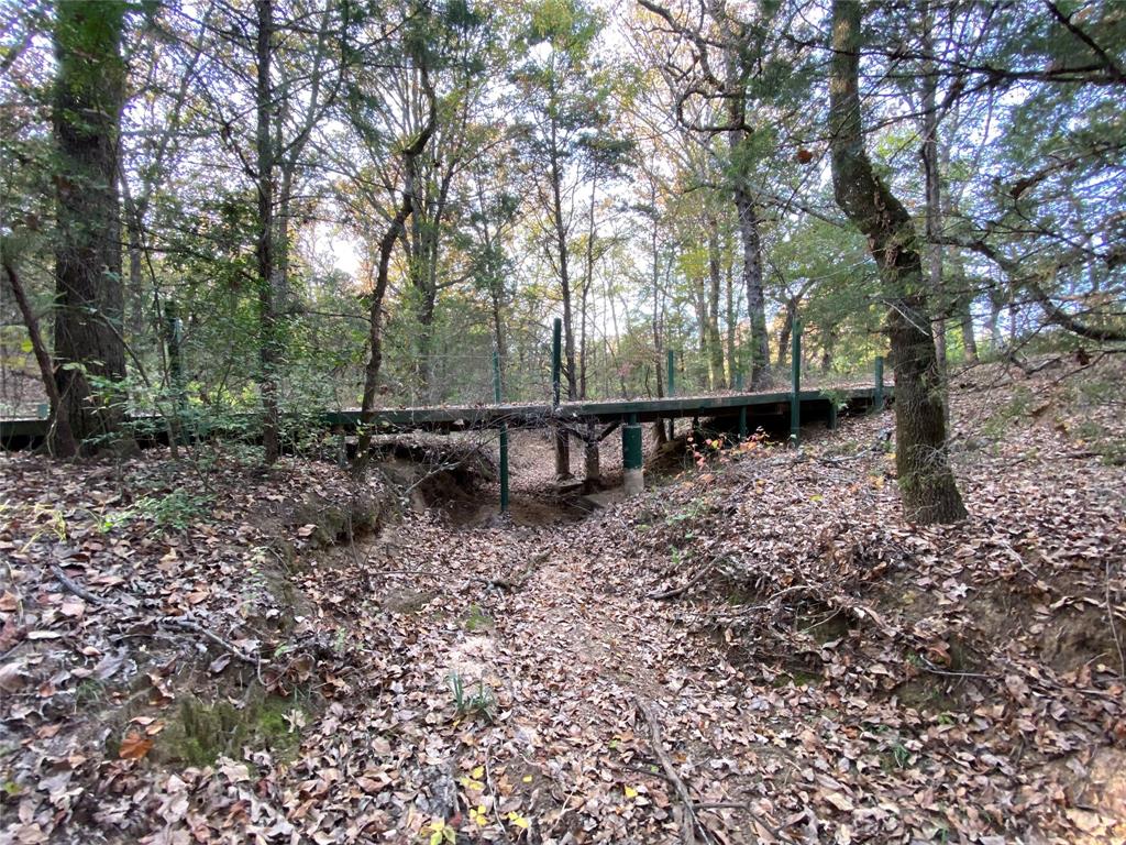 0 Private Road 5204 Property Photo 12