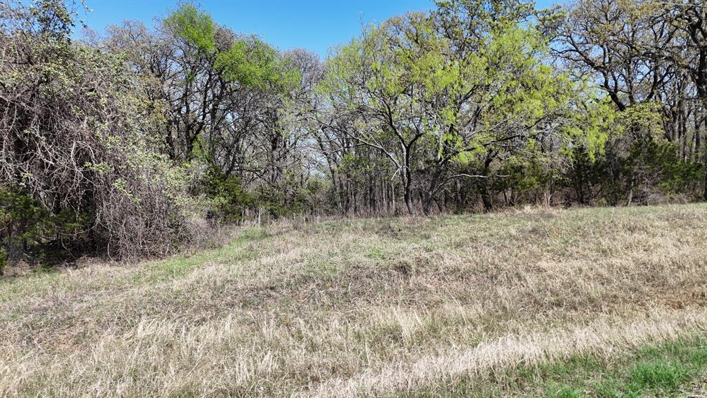 280 Private Road 2162 Property Photo 5